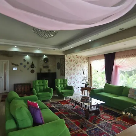 Villa Ferit