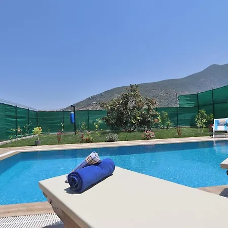 Villa Ferit *